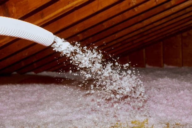 Best Insulation Maintenance and Repair in Bainbridge, GA