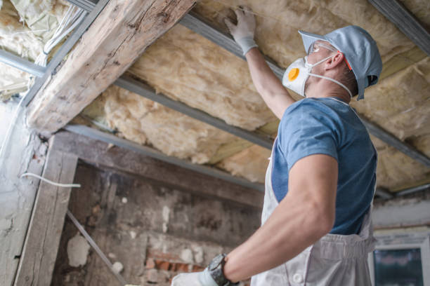 Best Energy Efficiency Insulation in Bainbridge, GA