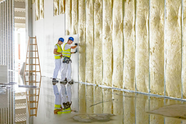 Best Blown-in Insulation in Bainbridge, GA